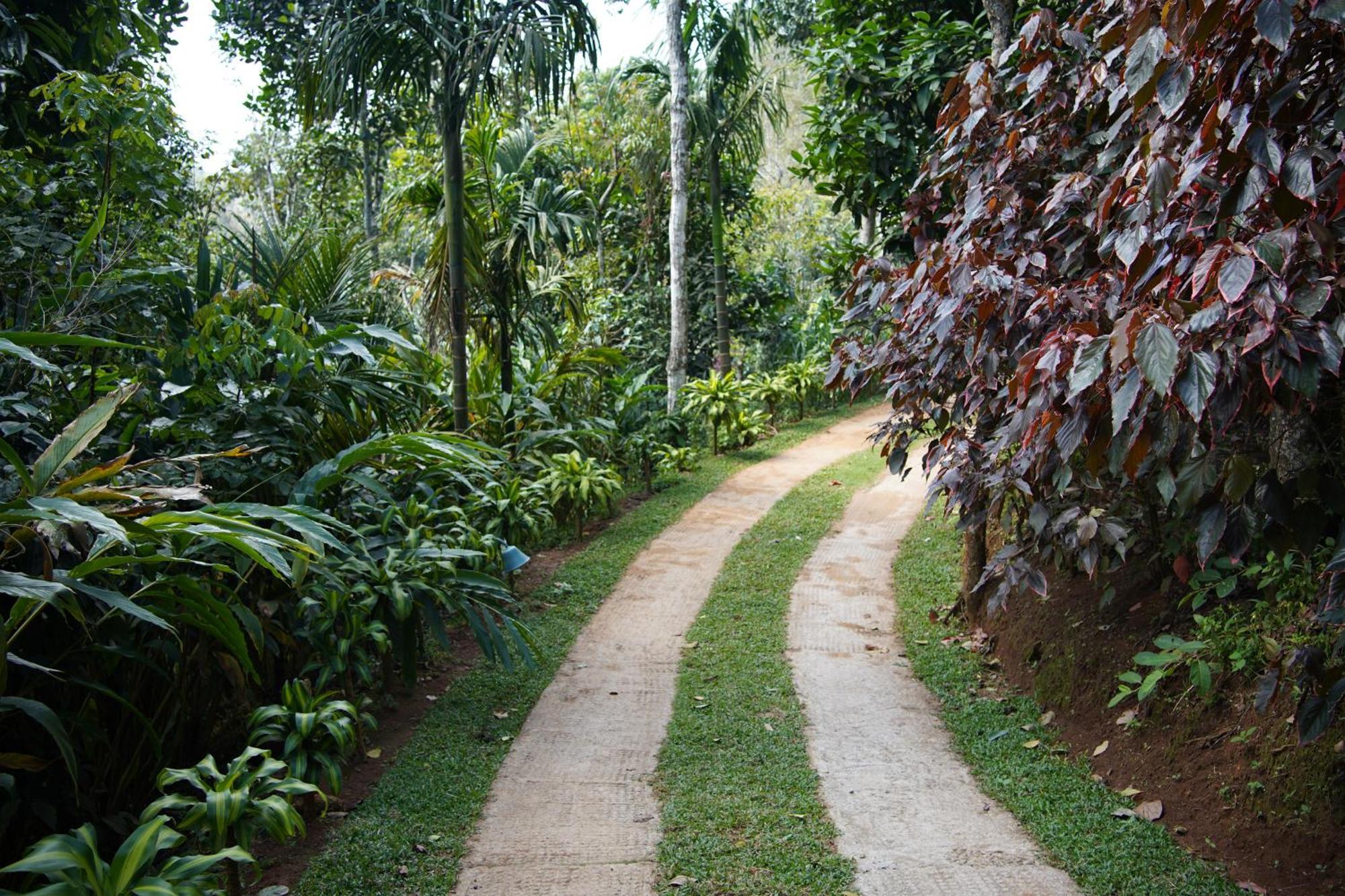 Blanket Days Resort And Spa Thekkady Exterior photo